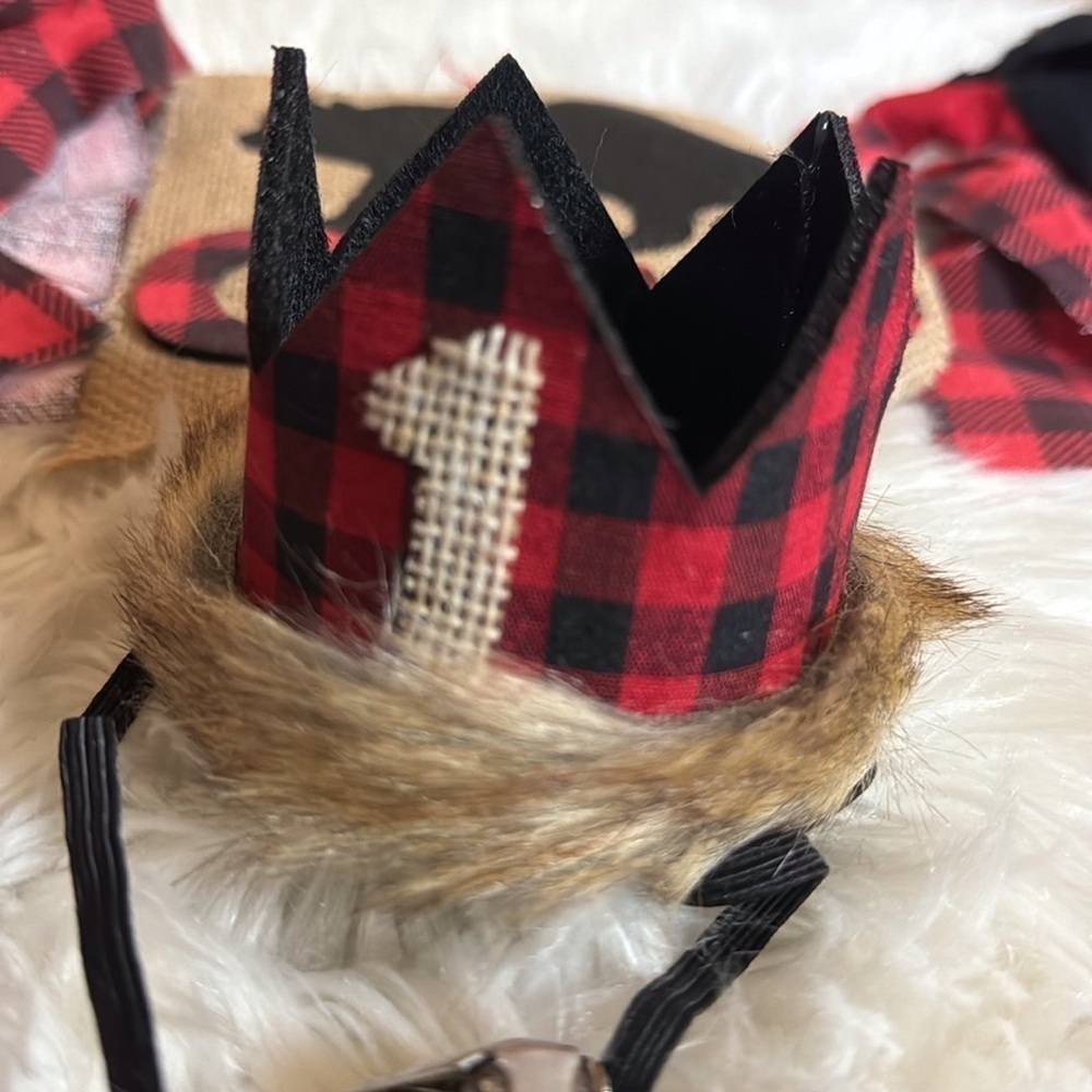 Boy’s First Birthday outfit, crown and bunting Woodland / Lumberjack theme - Picture 2 of 10